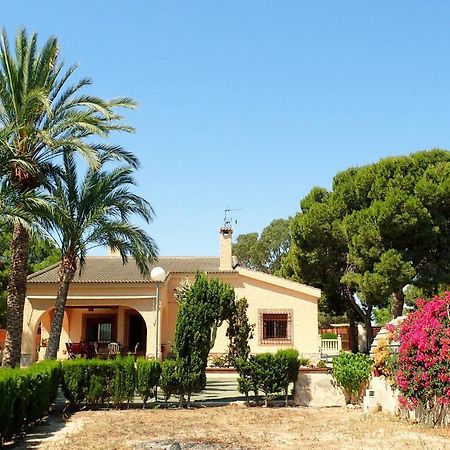 Villa Buganvilla Елче Екстериор снимка