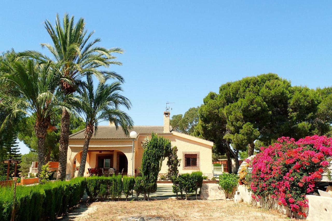 Villa Buganvilla Елче Екстериор снимка