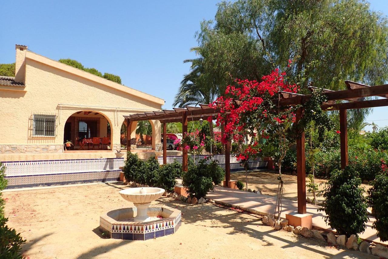 Villa Buganvilla Елче Екстериор снимка